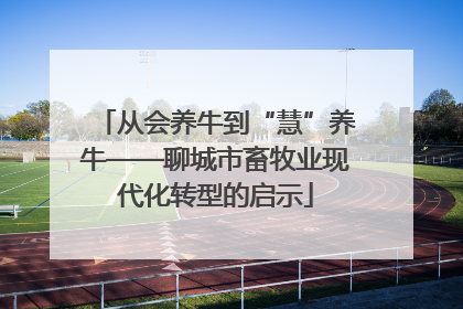从会养牛到“慧”养牛——聊城市畜牧业现代化转型的启示