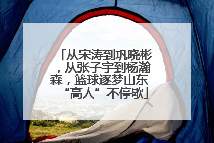 从宋涛到巩晓彬，从张子宇到杨瀚森，篮球逐梦山东“高人”不停歇