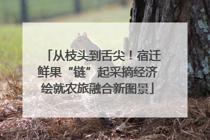 从枝头到舌尖！宿迁鲜果“链”起采摘经济绘就农旅融合新图景