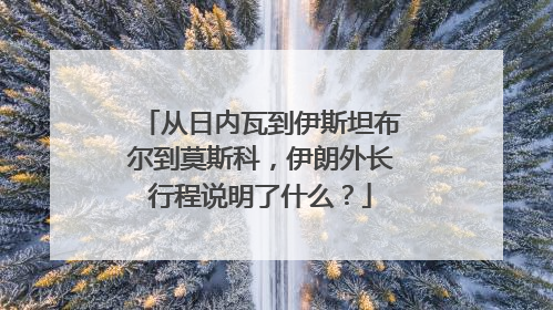 从日内瓦到伊斯坦布尔到莫斯科，伊朗外长行程说明了什么？