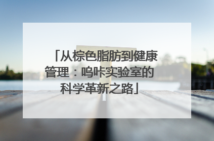 从棕色脂肪到健康管理：呜咔实验室的科学革新之路