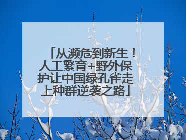 从濒危到新生！人工繁育+野外保护让中国绿孔雀走上种群逆袭之路