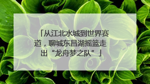 从江北水城到世界赛道，聊城东昌湖摇篮走出“龙舟梦之队”