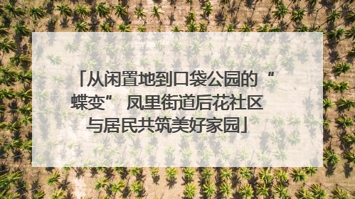 从闲置地到口袋公园的“蝶变” 凤里街道后花社区与居民共筑美好家园