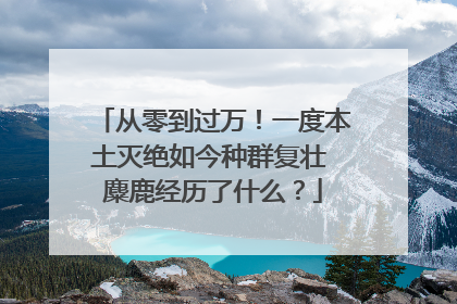 从零到过万！一度本土灭绝如今种群复壮 麋鹿经历了什么？