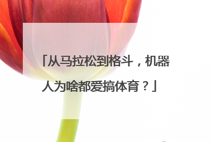 从马拉松到格斗，机器人为啥都爱搞体育？