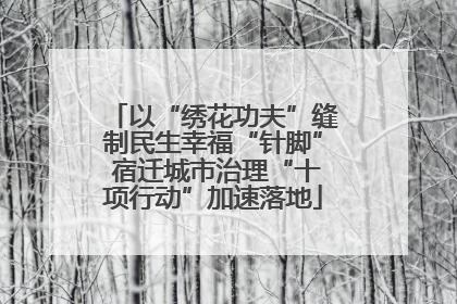 以“绣花功夫”缝制民生幸福“针脚” 宿迁城市治理“十项行动”加速落地