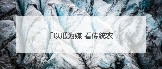 以瓜为媒 看传统农业大镇石莲子镇如何唱响乡村振兴协奏曲？