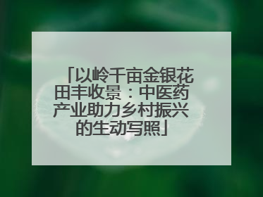 以岭千亩金银花田丰收景：中医药产业助力乡村振兴的生动写照