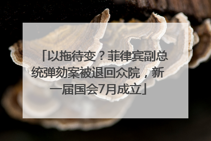 以拖待变？菲律宾副总统弹劾案被退回众院，新一届国会7月成立