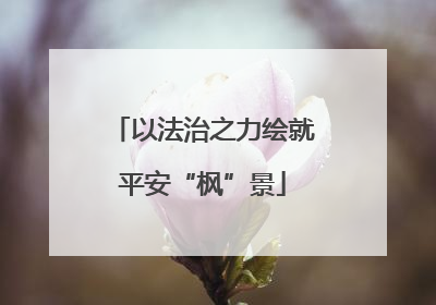 以法治之力绘就平安“枫”景