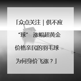 众点关注｜供不应“球” 涨幅超黄金 价格亲民的羽毛球为何身价飞涨？