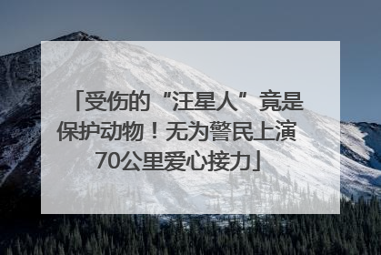 受伤的“汪星人”竟是保护动物！无为警民上演70公里爱心接力