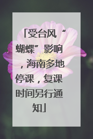 受台风“蝴蝶”影响，海南多地停课，复课时间另行通知