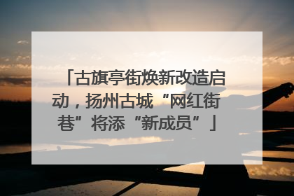 古旗亭街焕新改造启动，扬州古城“网红街巷”将添“新成员”