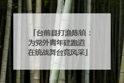 台前县打渔陈镇：为党外青年建跑道 在统战舞台竞风采