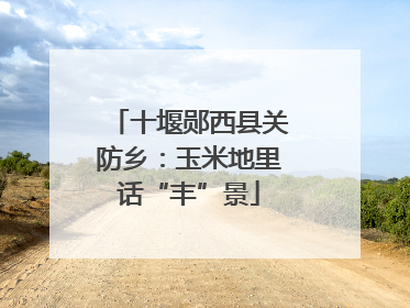 十堰郧西县关防乡：玉米地里话“丰”景