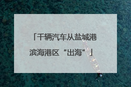千辆汽车从盐城港滨海港区“出海”
