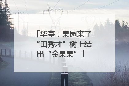华亭：果园来了“田秀才”树上结出“金果果”