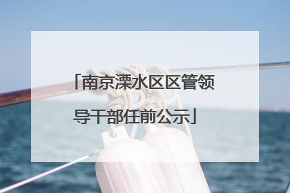 南京溧水区区管领导干部任前公示