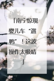 南宁惊现婴儿车“遛鸭”！这波操作太吸睛