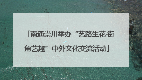 南通崇川举办“艺路生花·街角艺趣”中外文化交流活动