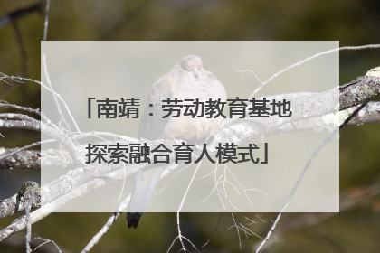 南靖：劳动教育基地探索融合育人模式