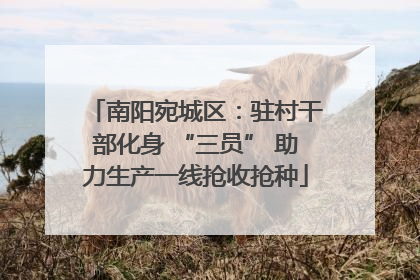 南阳宛城区：驻村干部化身 “三员” 助力生产一线抢收抢种