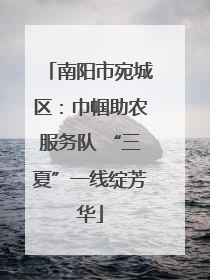 南阳市宛城区：巾帼助农服务队 “三夏”一线绽芳华