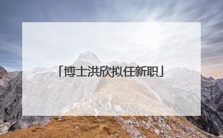 博士洪欣拟任新职