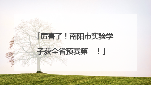 厉害了！南阳市实验学子获全省预赛第一！