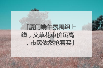 厦门端午氛围组上线，艾草花束价虽高，市民依然抢着买