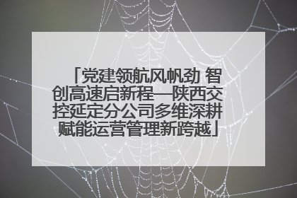 党建领航风帆劲 智创高速启新程—陕西交控延定分公司多维深耕赋能运营管理新跨越