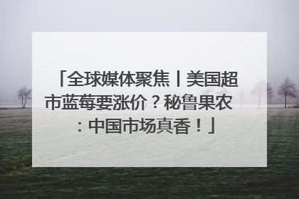 全球媒体聚焦丨美国超市蓝莓要涨价？秘鲁果农：中国市场真香！