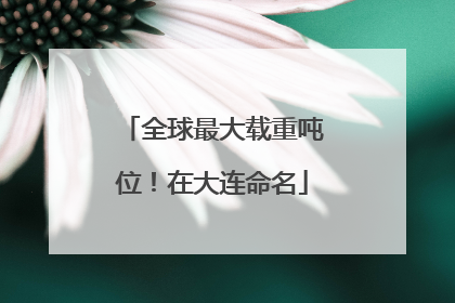 全球最大载重吨位！在大连命名