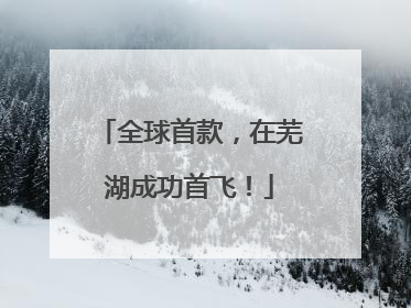 全球首款，在芜湖成功首飞！