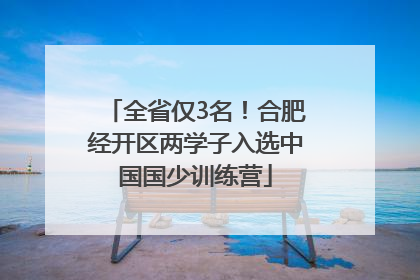 全省仅3名！合肥经开区两学子入选中国国少训练营