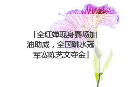 全红婵现身赛场加油助威，全国跳水冠军赛陈艺文夺金