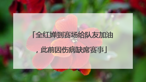 全红婵到赛场给队友加油，此前因伤病缺席赛事