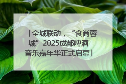 全城联动，“食尚蓉城”2025成都啤酒音乐嘉年华正式启幕