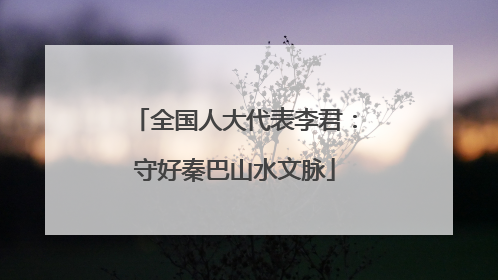 全国人大代表李君：守好秦巴山水文脉