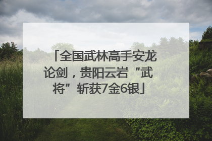 全国武林高手安龙论剑，贵阳云岩“武将”斩获7金6银