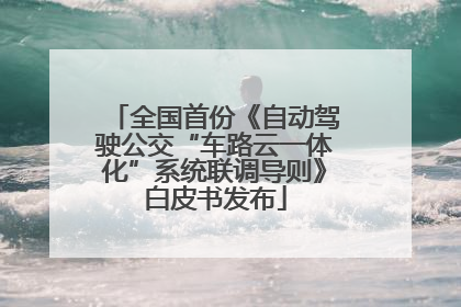 全国首份《自动驾驶公交“车路云一体化”系统联调导则》白皮书发布