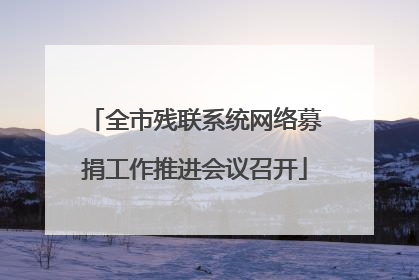 全市残联系统网络募捐工作推进会议召开