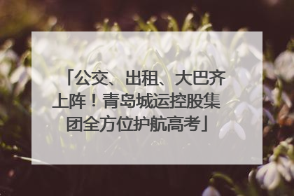 公交、出租、大巴齐上阵！青岛城运控股集团全方位护航高考