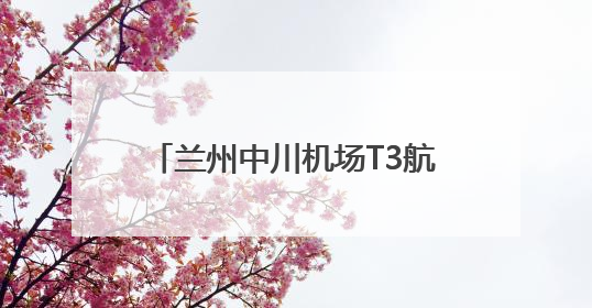 兰州中川机场T3航站楼登机桥迈入“智”时代 L4远程全自动模式全面启用