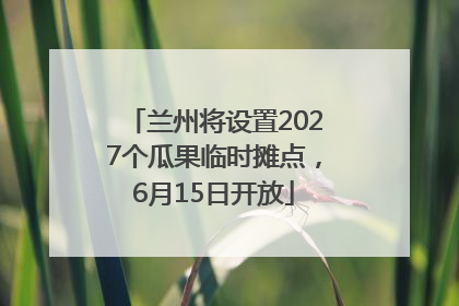 兰州将设置2027个瓜果临时摊点，6月15日开放