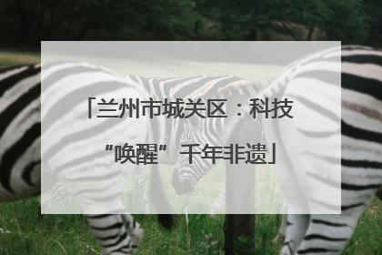兰州市城关区：科技“唤醒”千年非遗