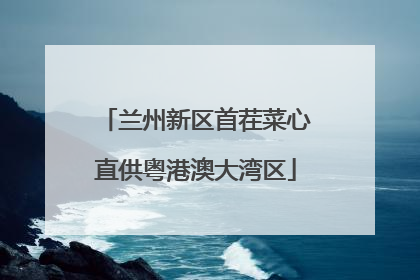 兰州新区首茬菜心直供粤港澳大湾区