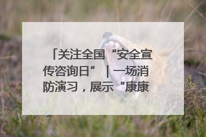 关注全国“安全宣传咨询日”｜一场消防演习，展示“康康”应急实力